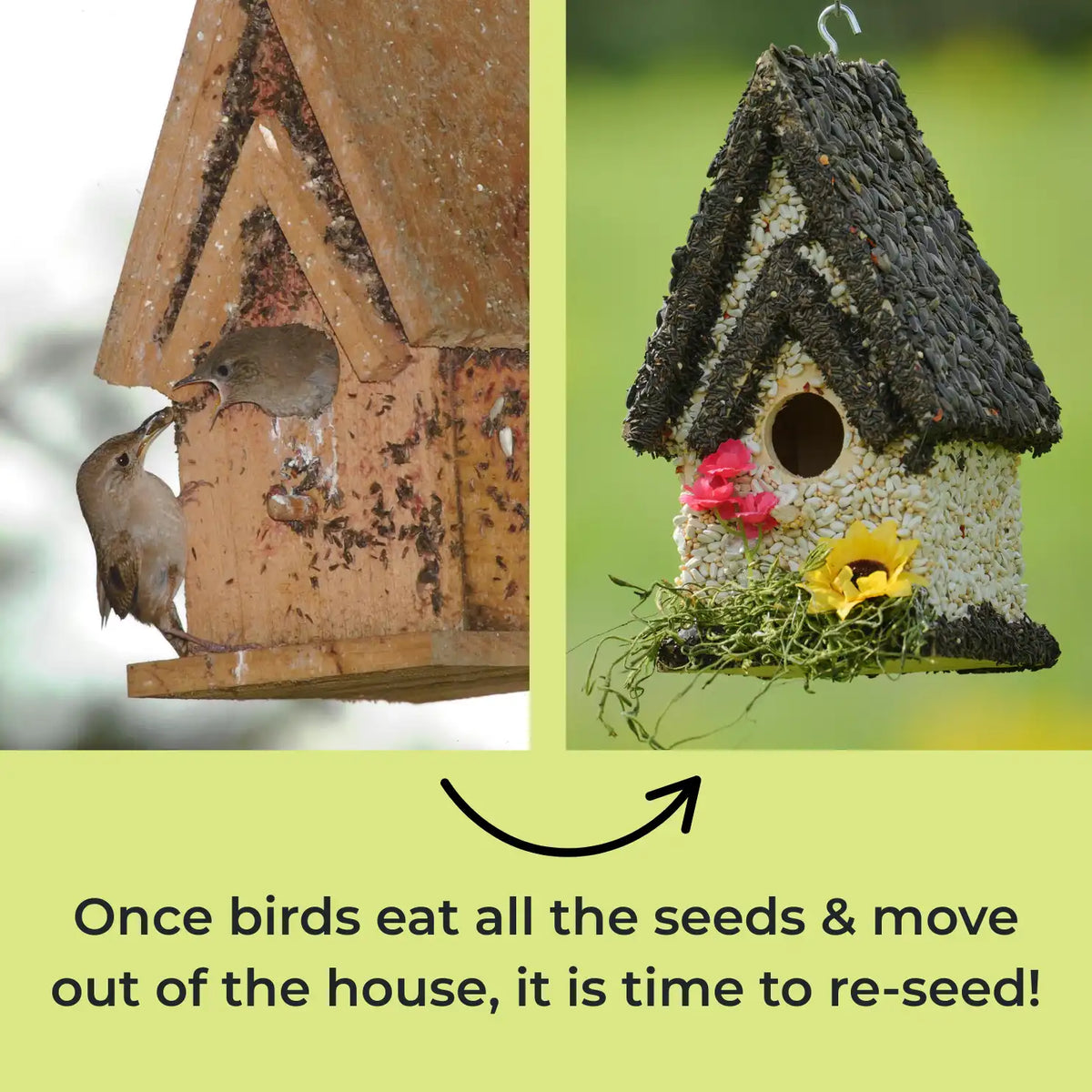 Edible Birdhouses Re-Seeding Kit – Premium Wild Bird Seed Mix
