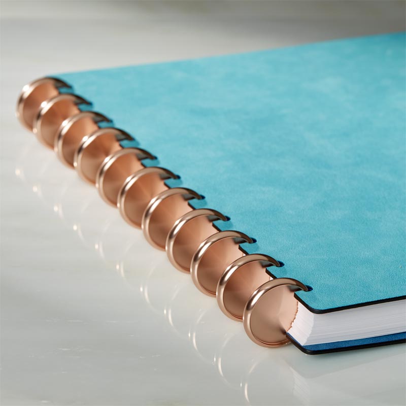 Aluminum Circa Notebook Discs (set of 11)