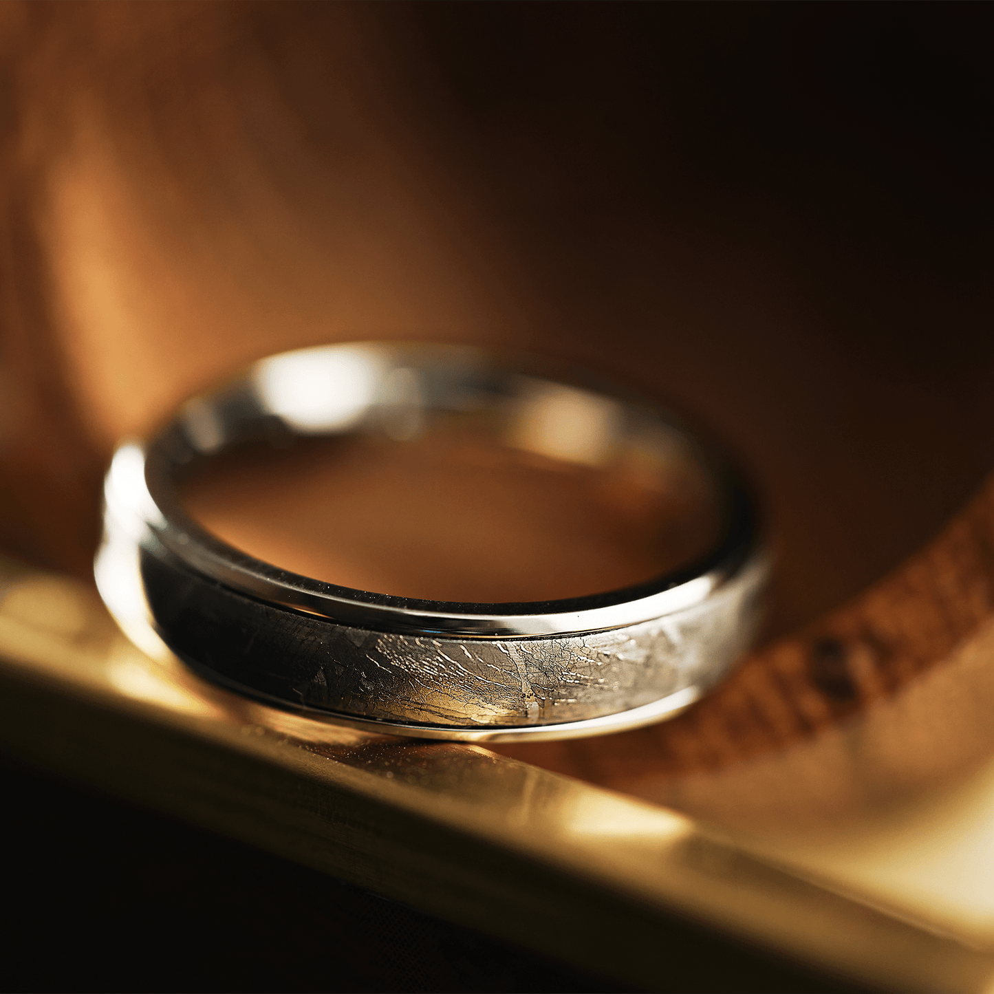 The Rocketman - Men's Ring / Wedding Band - Titanium with Meteorite