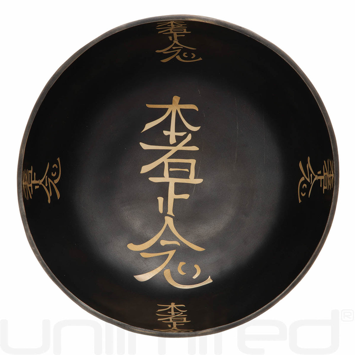 Unlimited 10" Hon Sha Ze Sho Reiki Singing Bowls