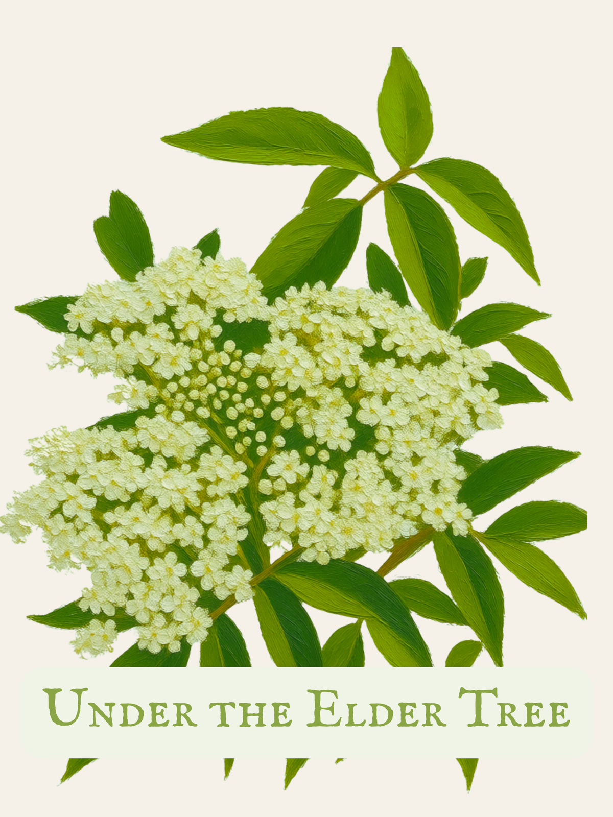 Under the Elder Tree