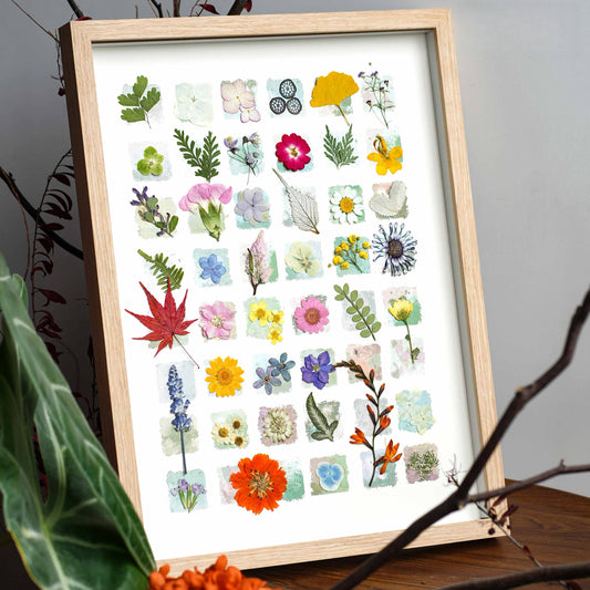 "The Grand Botanical Mosaic" - 48-Grid Real Specimen Shadow Box Art (Extra Large)