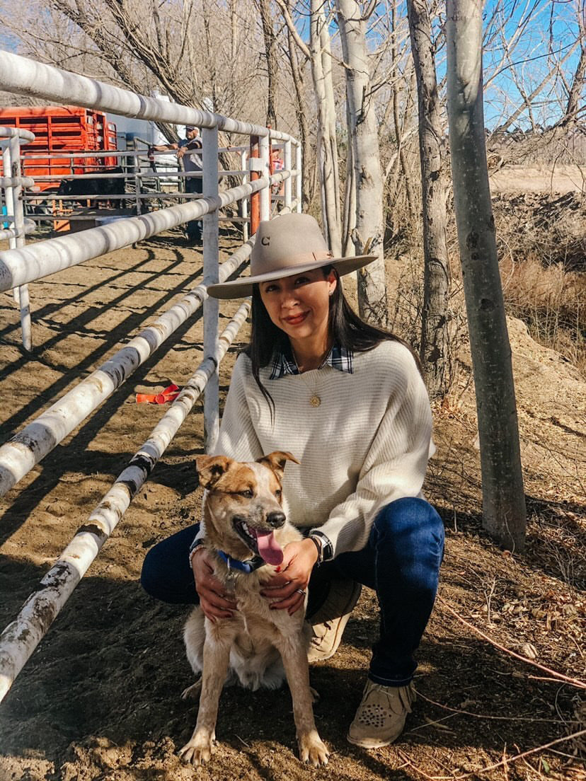 Miraculous Medal Necklace - 18k Gold Filled