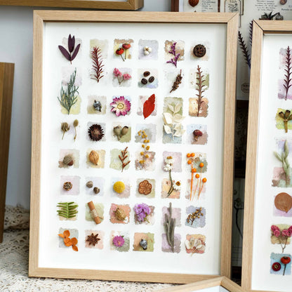 "The Grand Botanical Mosaic" - 48-Grid Real Specimen Shadow Box Art (Extra Large)