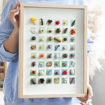 "The Grand Botanical Mosaic" - 48-Grid Real Specimen Shadow Box Art (Extra Large)