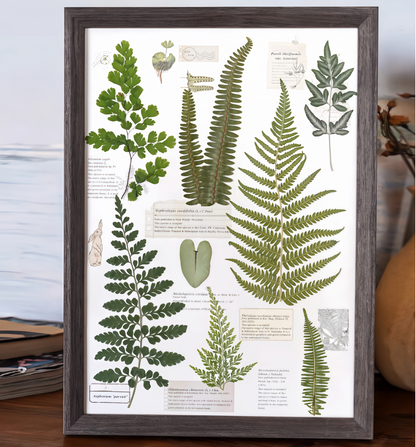 "The Grand Herbarium" - Large Real Pressed Fern & Flower Art (A3 Size)