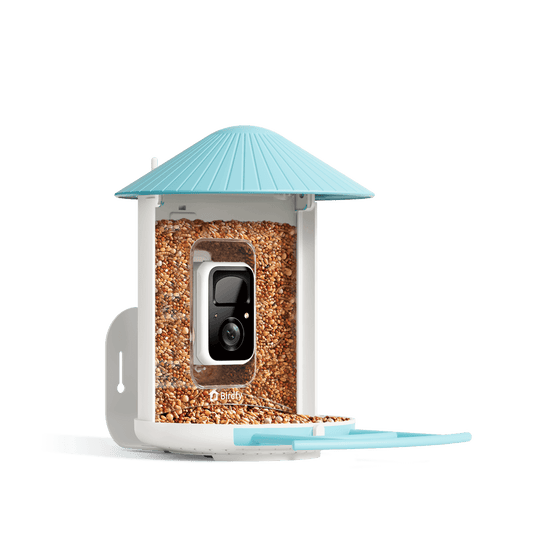 Birdfy Feeder - AI-Powered Smart Bird Feeder with Camera