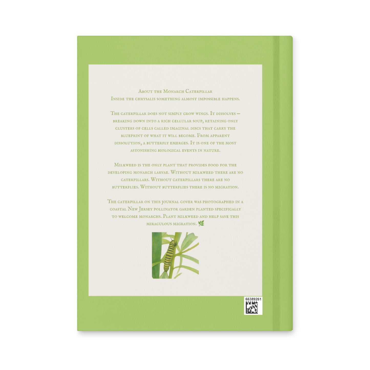 A Dream of Wings - Hardcover Nature Journal