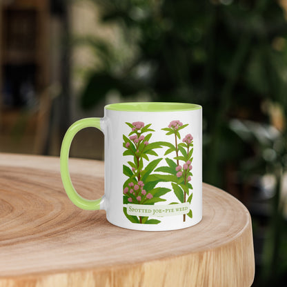 Spotted Joe-Pye Weed — 11 oz Ceramic Mug | Botanical Art | Sacred Garden Collection