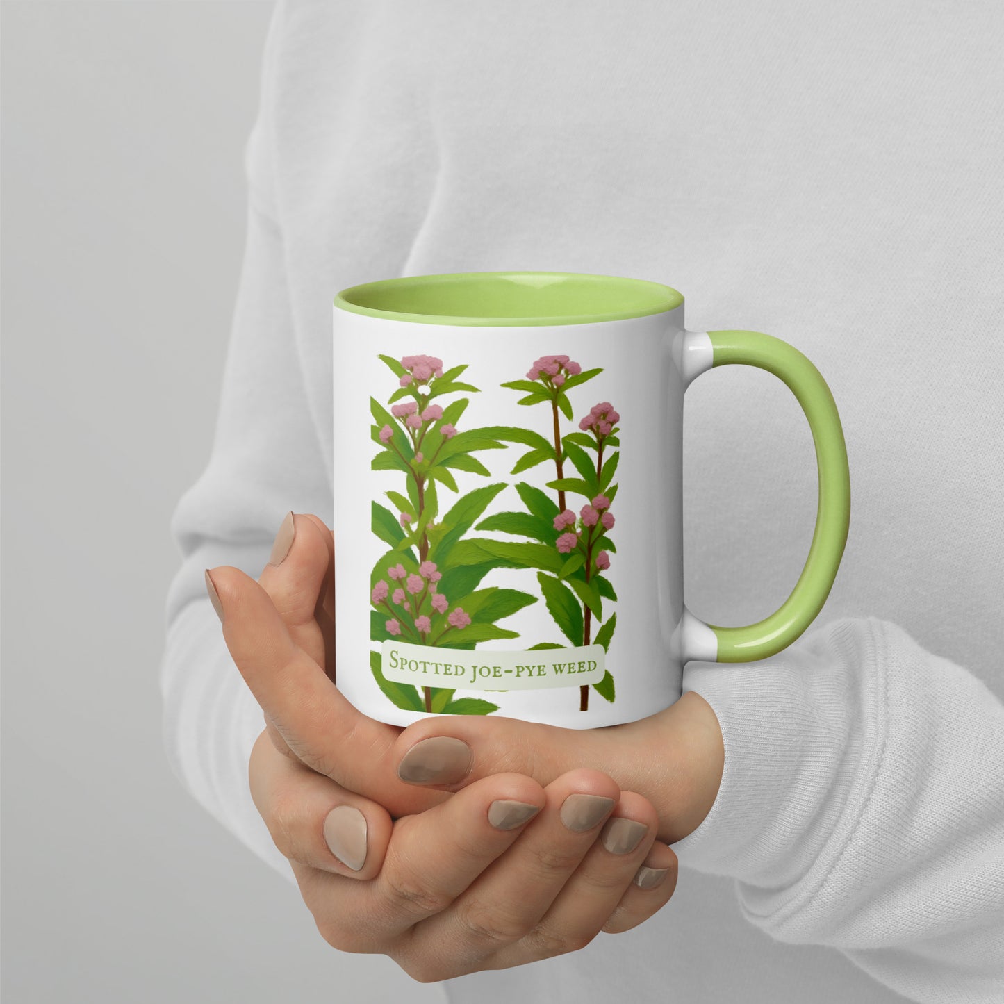 Spotted Joe-Pye Weed — 11 oz Ceramic Mug | Botanical Art | Sacred Garden Collection