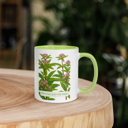 Spotted Joe-Pye Weed — 11 oz Ceramic Mug | Botanical Art | Sacred Garden Collection